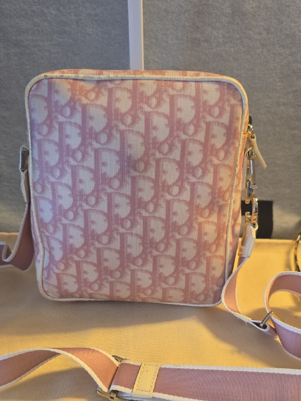 Dior Pink Monogram Trotter No. 2 Crossbody Bag - Picture 2 of 10